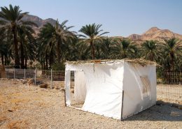 Sukkah Sukkot